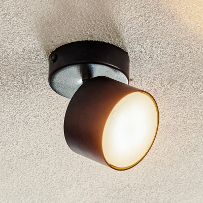 Afbeelding van Eko Light Plafondspot Cloudy 1 lamp zwart
