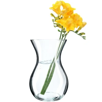 Afbeelding van KADAX Bloemenvaas, 18 cm vaas van glas, diameter 8 cm, glazen bloemenvaas met een hals 11 doorzichtige tafelvaas, heldere vaas, voor bloemen, decoratieve woonkamer