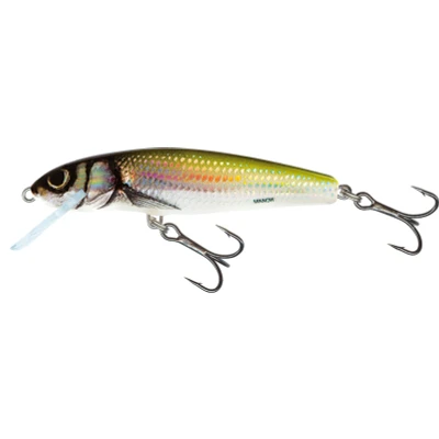 Afbeelding van Salmo Floating Minnow 6cm 4g (diepte: 0.5 1m) Kleur : Holo Bleak