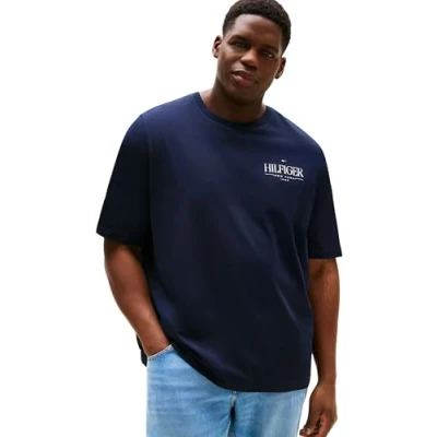 Afbeelding van Tommy Hilfiger Stack TEE Tshirt print, Heren, Maat: XXL, Desert sky