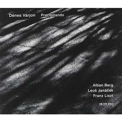 Afbeelding van Denes Varjon Precipitando (CD)