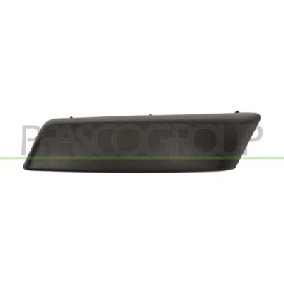 Afbeelding van Sier / beschermingspaneel, bumper PRASCO RN4241204