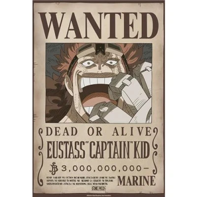 Afbeelding van Poster One Piece Wanted Kid Wano 38x52cm