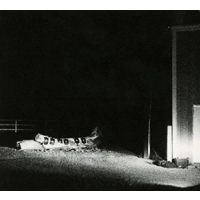 Afbeelding van Cloud Nothings Last Building Burning (CD)