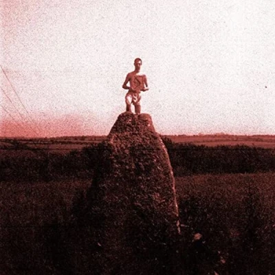 Afbeelding van Mount Kimbie Love What Survives Pt 1 (Single)