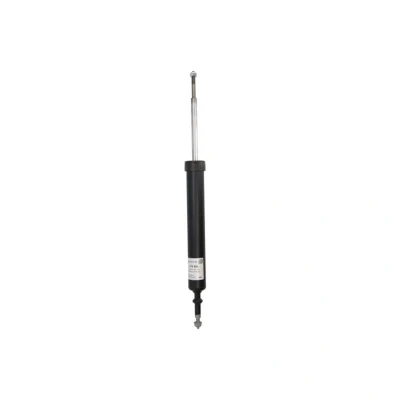 Afbeelding van Schokdemper SACHS 310 984