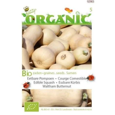 Afbeelding van Pompoen Waltham Butternut Buzzy Organic (BIO) Muskaatpompoen, Cucurbita, Pompoenzaden, Eetbaar