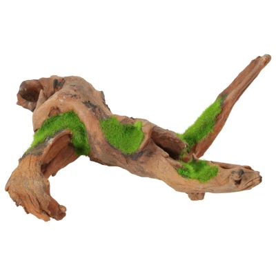 Afbeelding van Zolux Groeiend Decor Malaysia Root M Aquarium Ornament 15.4x29.9x13.4 cm
