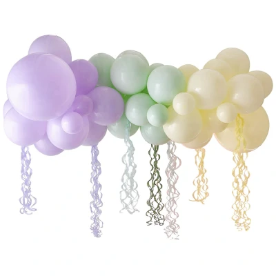 Afbeelding van Ginger Ray Ballonslinger pastel regenboog 45 ballonnen