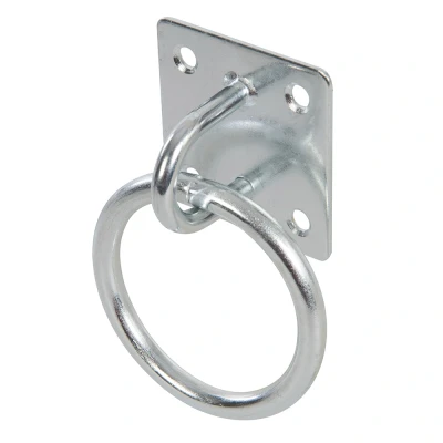 Afbeelding van Fixman Kettingplaat, gegalvaniseerd Ring, 50 mm x