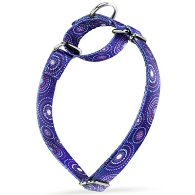 Afbeelding van Dazzber Martingale Halsbanden voor Honden Zachte Verstelbare Halsband, Duurzame D ring Heavy Duty, Choke Collar Grote Middelgrote Kleine (Medium, 2,5 cm breed, Royal Blue ACC)
