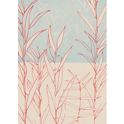 Afbeelding van Komar Vliesbehang Plain 200x280 cm (breedte x hoogte)