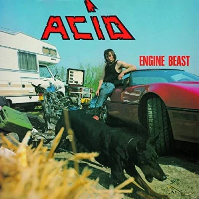 Afbeelding van Acid Engine Beast (2 LPs)