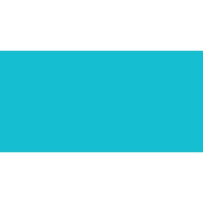 Afbeelding van Prym 982450 satijnen lint 10 mm turquoise, 100% PES