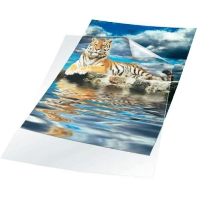 Afbeelding van Durable Transparante L map STANDARD A4 kristalhelder PP pak van 100