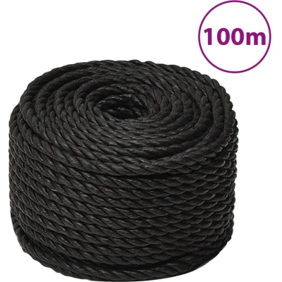 Afbeelding van vidaXL Werktouw 14 mm 100 m polypropeen zwart