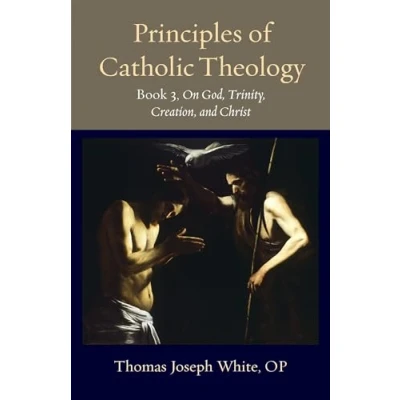 Afbeelding van Thomistic Ressourcement Principles of Catholic Theology, Book 3