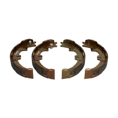 Afbeelding van Kavo Parts Remschoen set KBS 9910