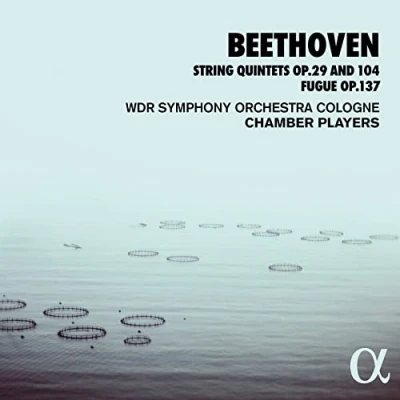 Afbeelding van WDR Sinfonieorchester Chamber Players Beethoven: String Quintets Op.29 &amp; 104, Fugue Op.137 (CD)