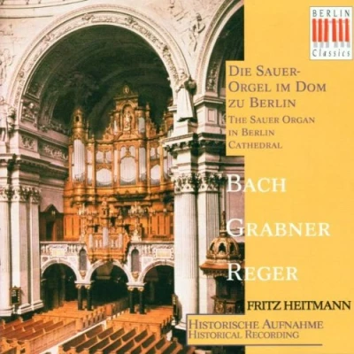 Afbeelding van Die Sauer Orgel im Dom zu Berlin