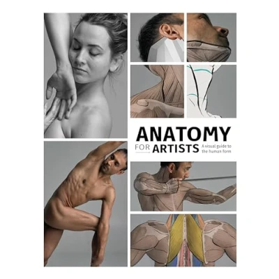 Afbeelding van Anatomy for Artists: A visual guide to the human form