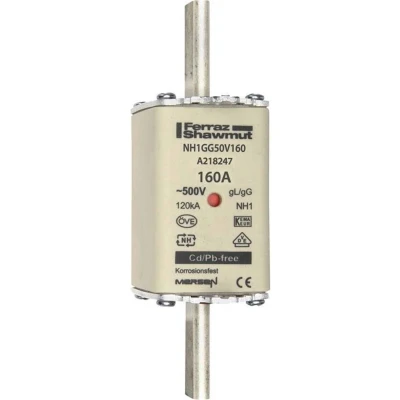 Afbeelding van Mersen 1B169.000000 NH zekering Afmeting : 1 160 A 500 V stuk(s)