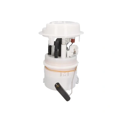 Afbeelding van Delphi Diesel Brandstofpomp FE10174 12B1