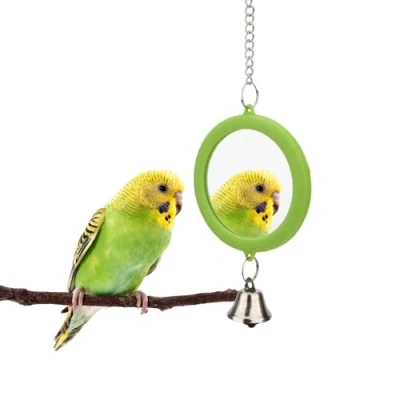 Afbeelding van Hypeety huisdier vogel spiegel met bel interactieve papegaai speelgoed kooi voor kakatiel parkieten kanaries kooien budgie