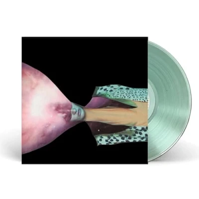 Afbeelding van Painted Shield 2 (LP)