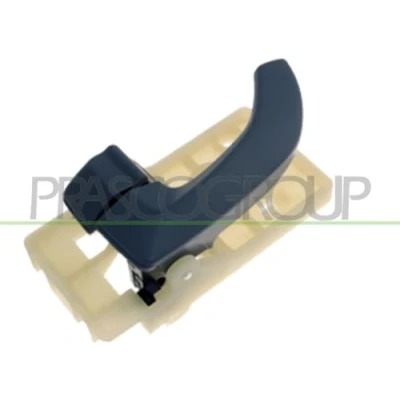 Afbeelding van Handgreep, interieur PRASCO HN8028618