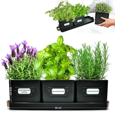 Afbeelding van Green Thumbz Kruidenpotjes, Kruidenpotten met leren handgrepen IIdeaal voor Bloempotten, Kruidentuin en Specerijen Plantenpotten keuken vensterbank dienblad inbegrepen (Black)