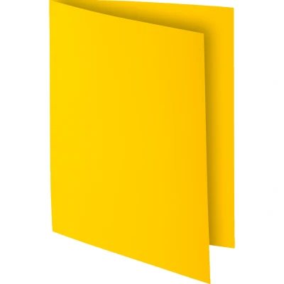 Afbeelding van Exacompta ref. 807011E Set van 30 felgekleurde inlegmappen ROCK&#039;&#039;S 80 g/m2 in PEFC™ gecertificeerde mappen Afmetingen: 22 x 31 cm for A4 format lemon yellow colour