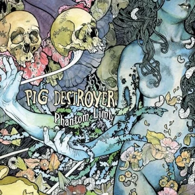 Afbeelding van Pig Destroyer Phantom Limb (LP)