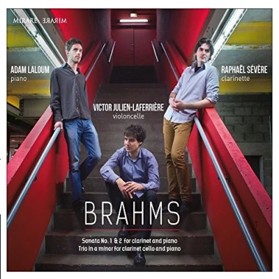 Afbeelding van Laloum, Julien Laferriere, Severe Clarinet Sonatas, Trio (CD)