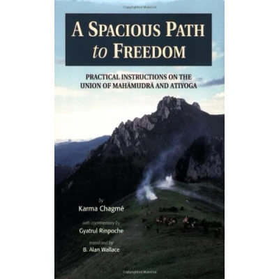Afbeelding van A Spacious Path to Freedom: Practical Instructions on the Union of Mahamudra and Atiyoga