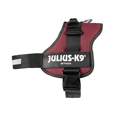 Afbeelding van JULIUS K 9, 162BR 3, K9 powerservies, maat: 2XL / bordeaux