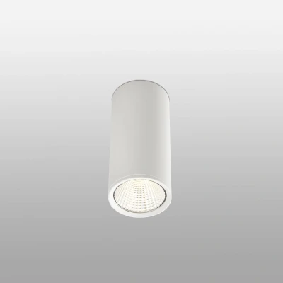 Afbeelding van Faro Lighting Rel LED 1 Licht Ronde Opbouw Downlight Wit