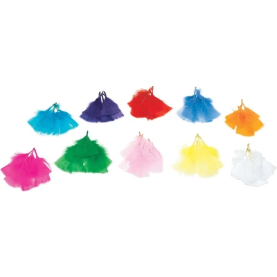 Afbeelding van Colorations Gekleurde Veren