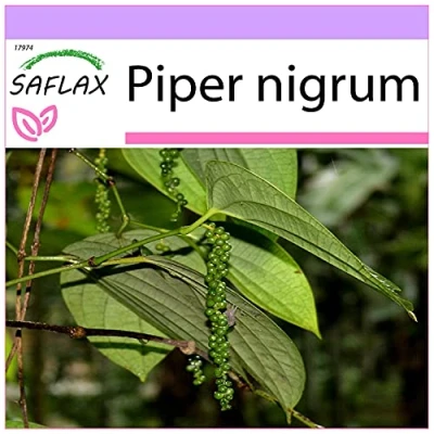 Afbeelding van SAFLAX Kruiden Echte Peper 20 Zaden Piper nigrum