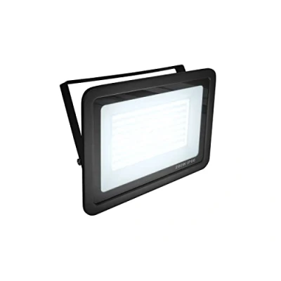 Afbeelding van Eurolite Led Breedstraler en Bouwlamp IP FL 200 SMD Wit (koudwit)