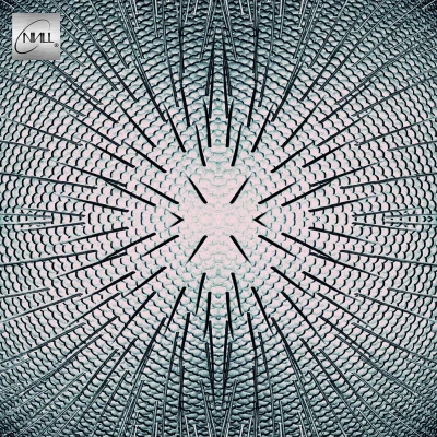 Afbeelding van Null Almost (Single)