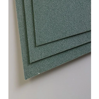 Afbeelding van Clairefontaine Ref 96168C Pastelmat Kaartvellen (Pack van 5 vellen) 360gsm kaart 50 x 70cm Donkergroene kleur Speciaal samengesteld voor gebruik met Pastels