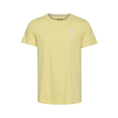 Afbeelding van Blend Camillo Tshirt print, Heren, Maat: Large, Pineapple slice