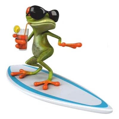 Afbeelding van younikat Sticker surfer kikker I 20 x cm voor laptop koffer badkamer douchewand als autosticker grappig cool weerbestendig kfz_535