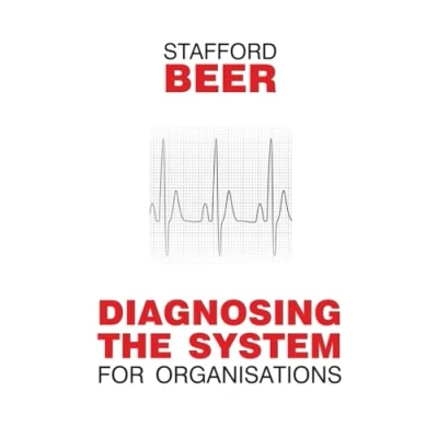 Afbeelding van Diagnosing the System for Organizations: 6