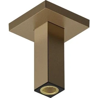 Afbeelding van Hansgrohe hg ceiling connector e 100mm bbr 24338140