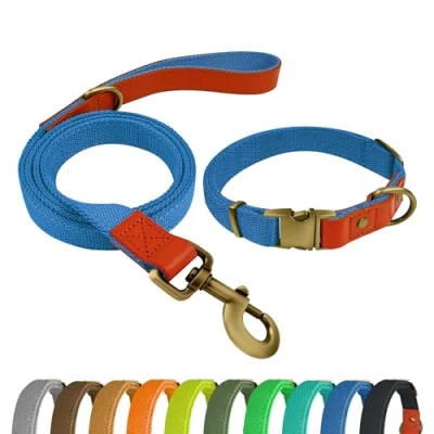 Afbeelding van Qianruida hondenhalsband en riem, set voor honden, halsband verstelbare kleine, middelgrote grote hemelsblauw, L
