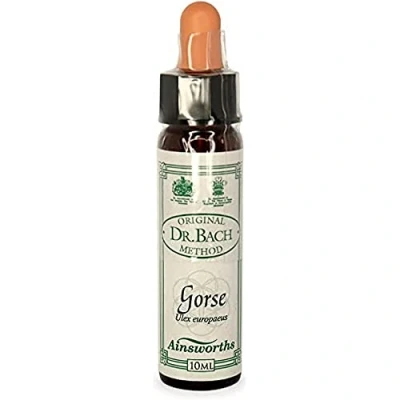 Afbeelding van Ainsworths Gorse Bach (10 ml)