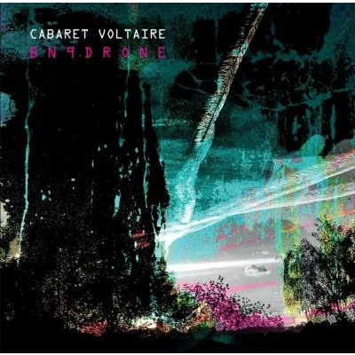 Afbeelding van Cabaret Voltaire Bn9drone (CD)