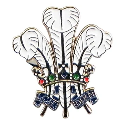 Afbeelding van Metalen Emaille Pin Badge Prins van Wales Plume veren Triple Trio Drie